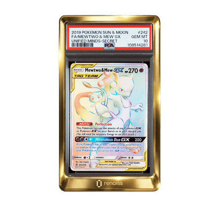 Mewtwo & Mew Gx